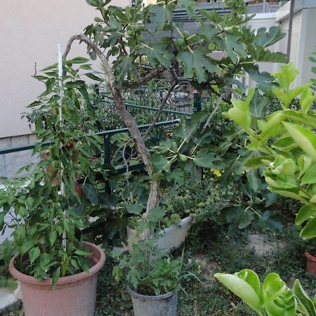 Apartman Paro Split Bagian luar foto