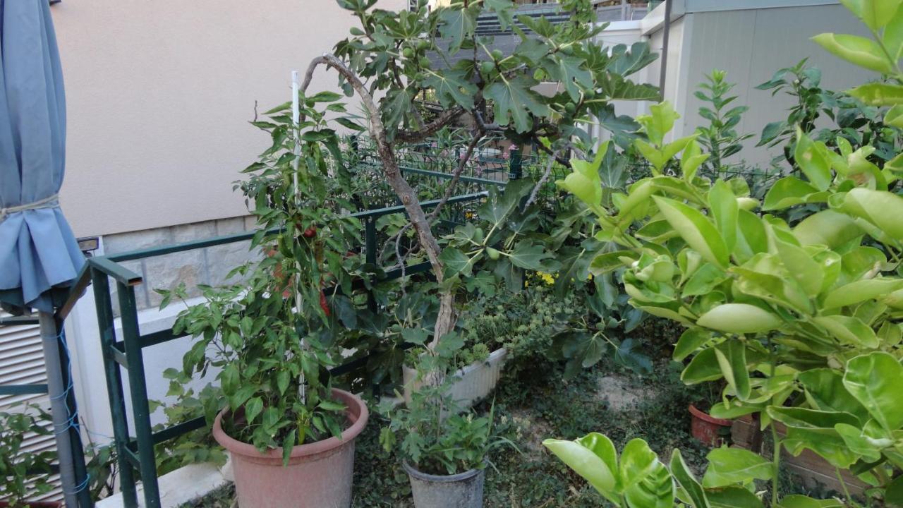 Apartman Paro Split Bagian luar foto